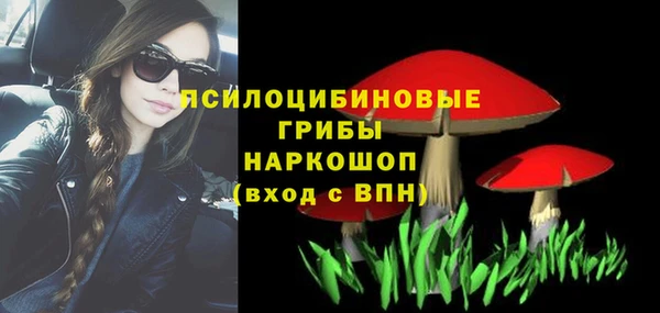 мдпв Богданович