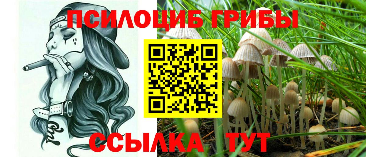 Галлюциногенные грибы Psilocybe  Вход с VPN  Воскресенск 